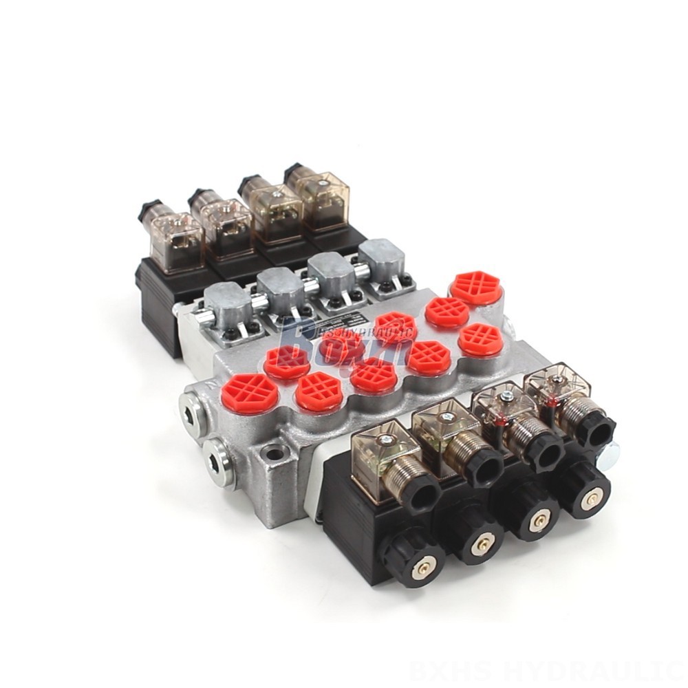 P40-DS Solenoid Valve: Factory Direct Supply, Competitive Pricing cover photo