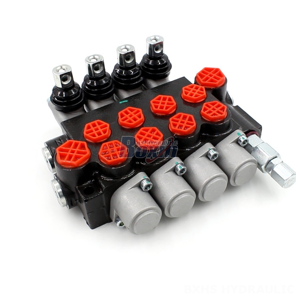 Straight from the Factory: Purchase P40-G12-G38-OT Valves Direct from the Manufacturer main image