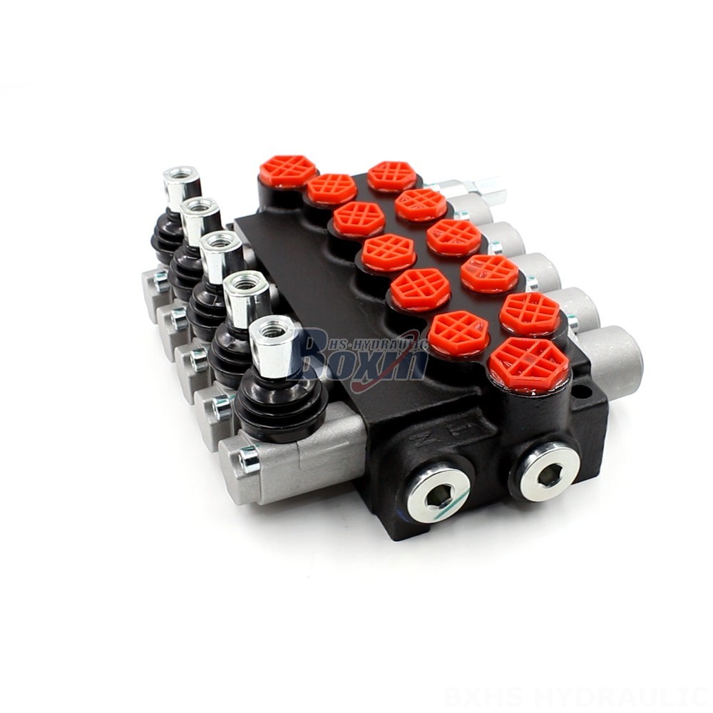Meet Your Unique Needs: Customizable P40-G12-G38 Valves and Hydraulic Solutions main image