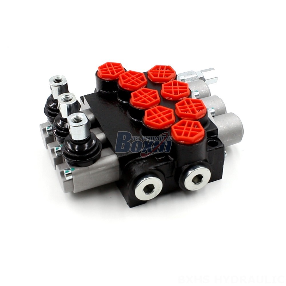 Manual Monoblock Hydraulic Valve: P40-G12 Series | Trusted Manufacturer main image