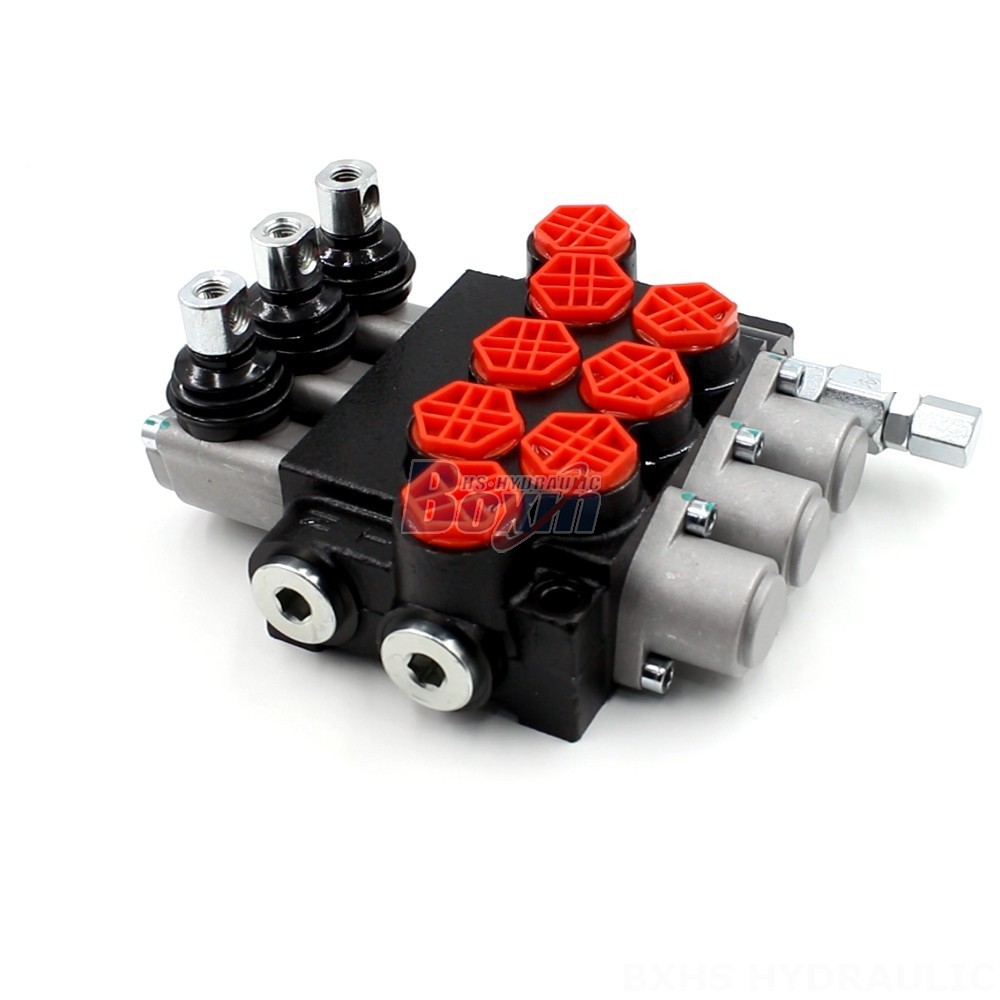Manual Monoblock Hydraulic Valve: P40-G12 Series | Trusted Manufacturer main image